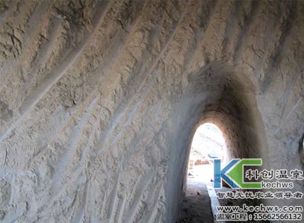 無土栽培，無土栽培技術，無土栽培設備