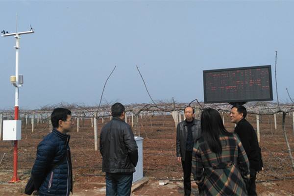 無土栽培，無土栽培技術，無土栽培設備